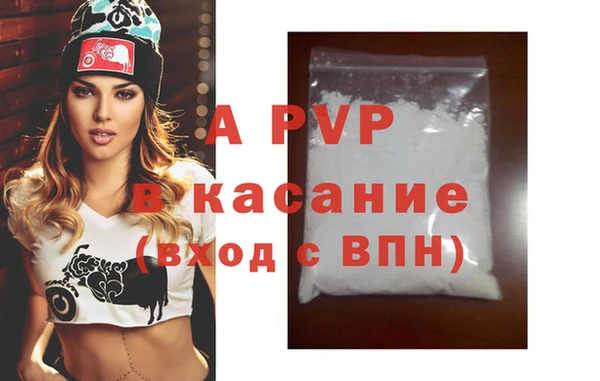 стаф Арсеньев