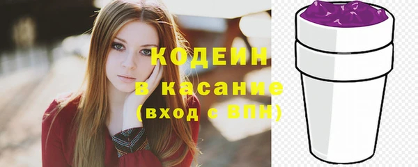 стаф Арсеньев